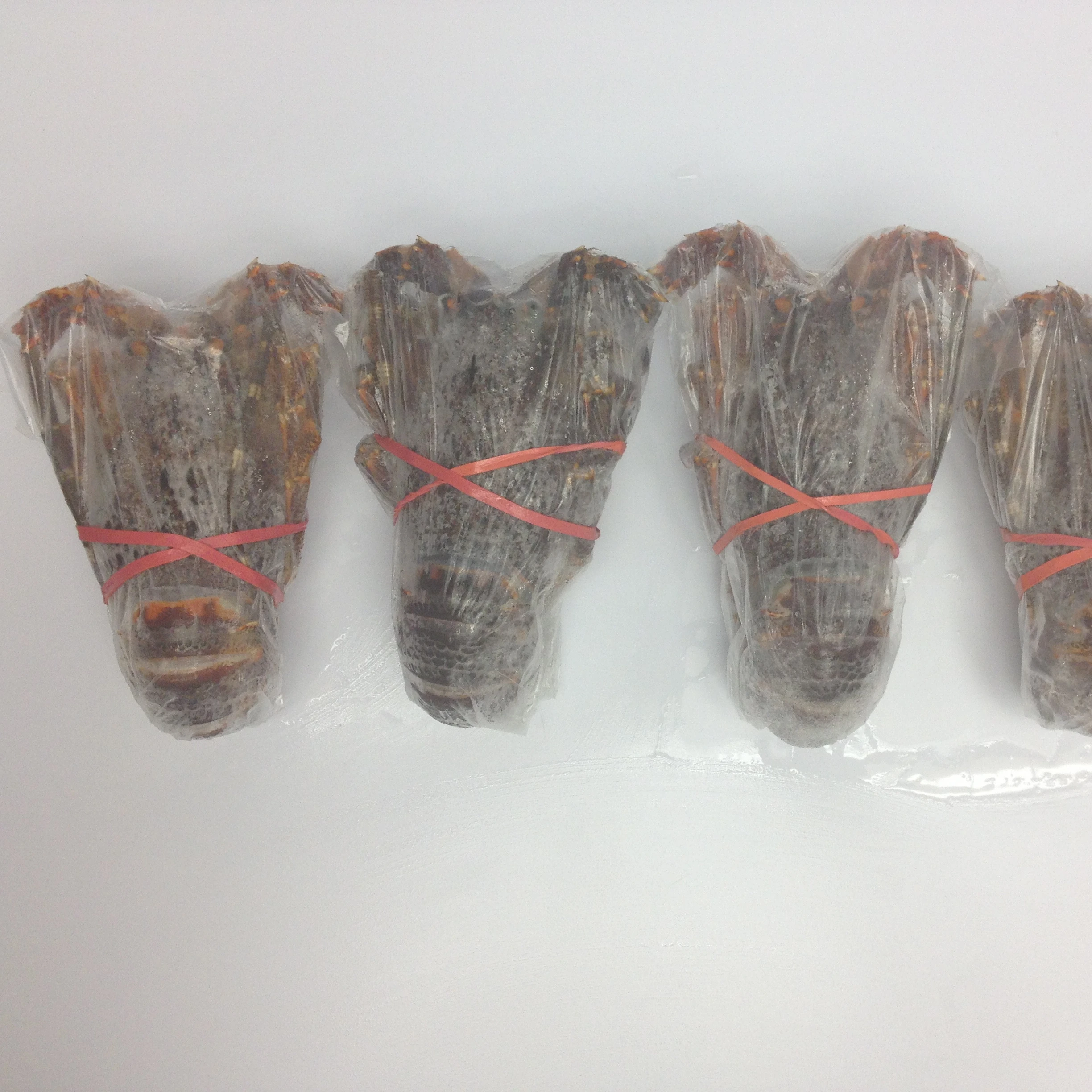 
Rock Lobster (South Africa, Australia, New Zealand, Mexico) 