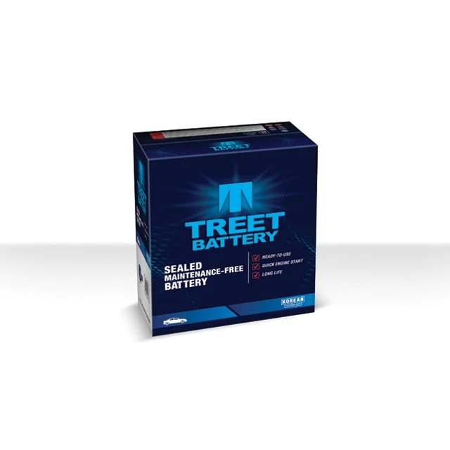 
Automotive Battery (Lead Acid, MF) 