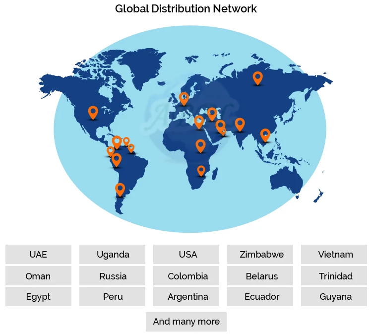 Global-Network.jpg