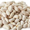 Navy Beans for Sale
