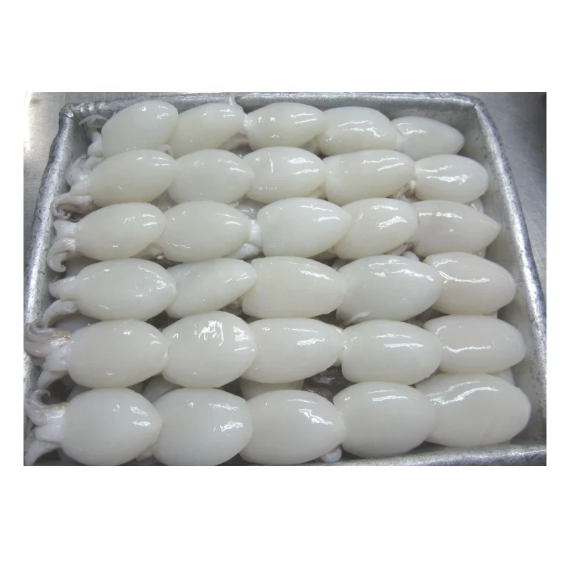 
FROZEN WHOLE CLEANED BABY CUTTLEFISH  (62021868854)