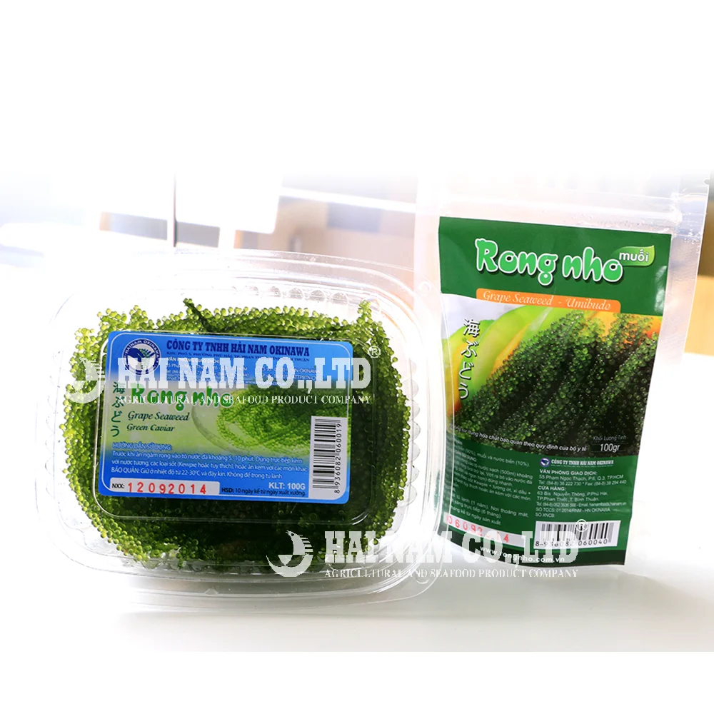 
Wholesale High Quality Fresh Salted Style Grape Seaweed Made In Vietnam 