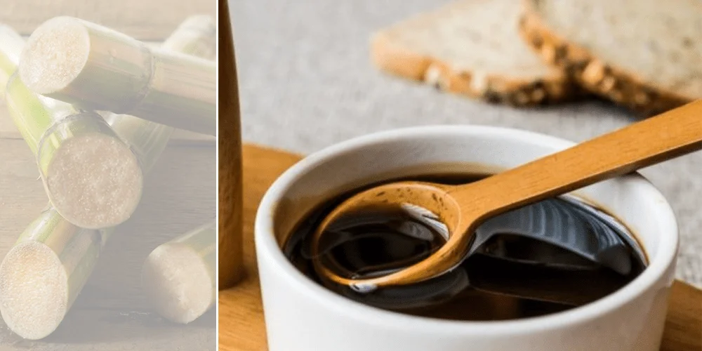 Sugar Cane Molasses/ Blackstrap Molasses Cattle Feed High Quality