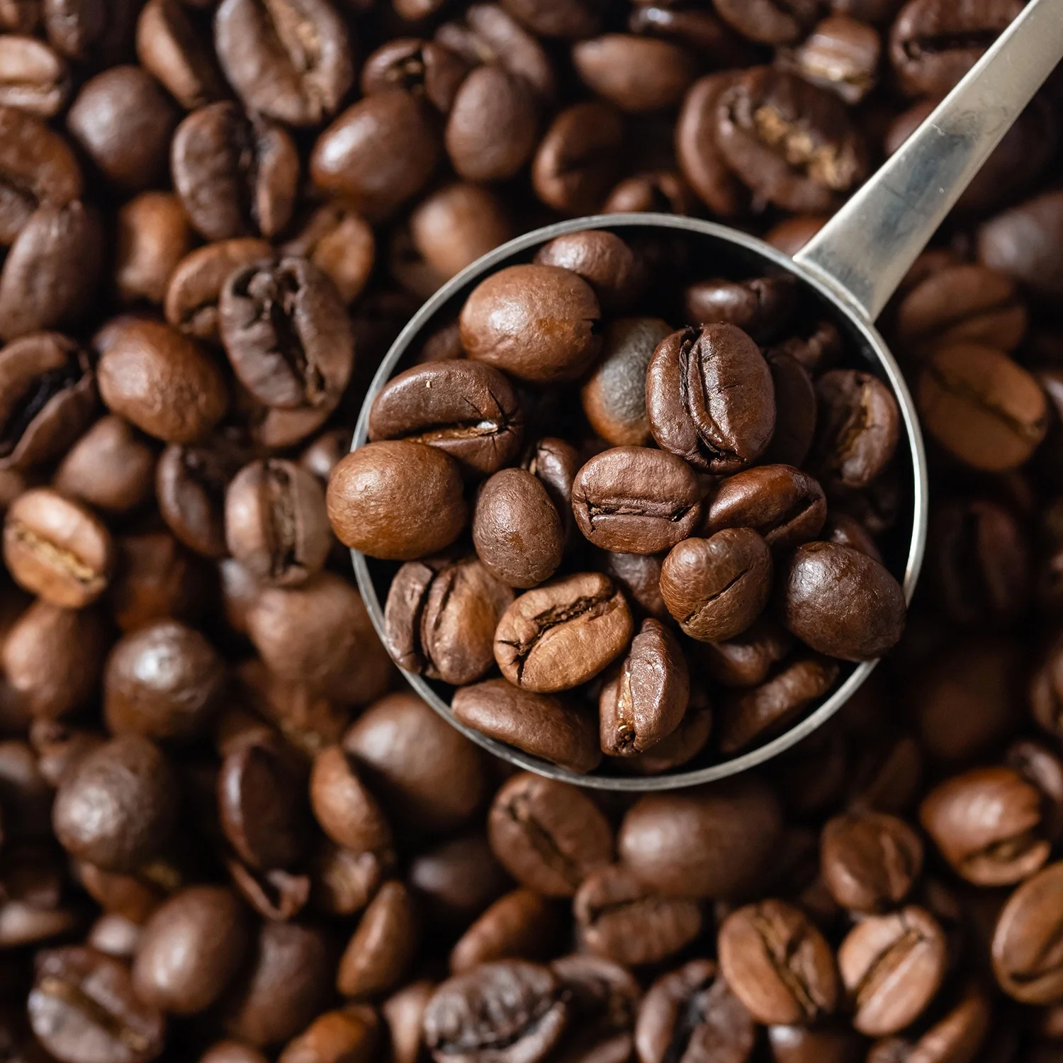 
Coffee Coffesso 
