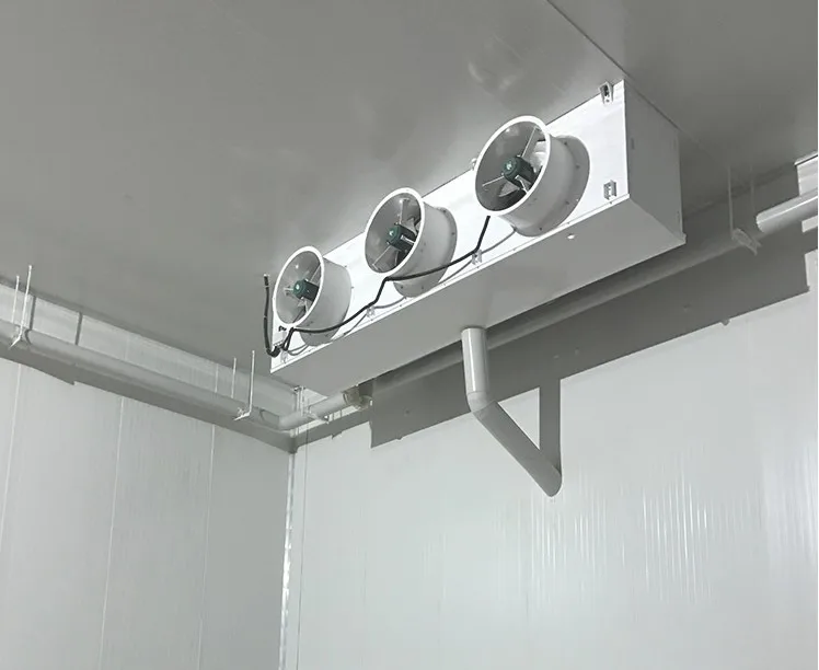 Room Blast Fish Freezer, 220V - detail 22