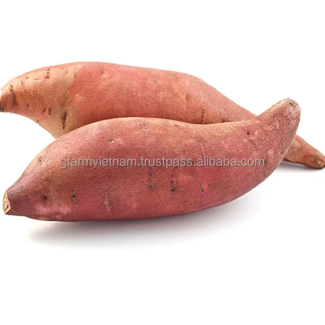 
TOP QUALITY fresh purple sweet potato or yellow sweet potato 