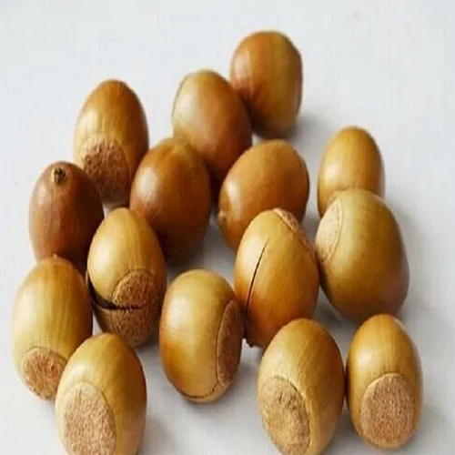 Oak Acorn Nuts/acorn Kernels For Food Starch And Cookie Bakery Buy
