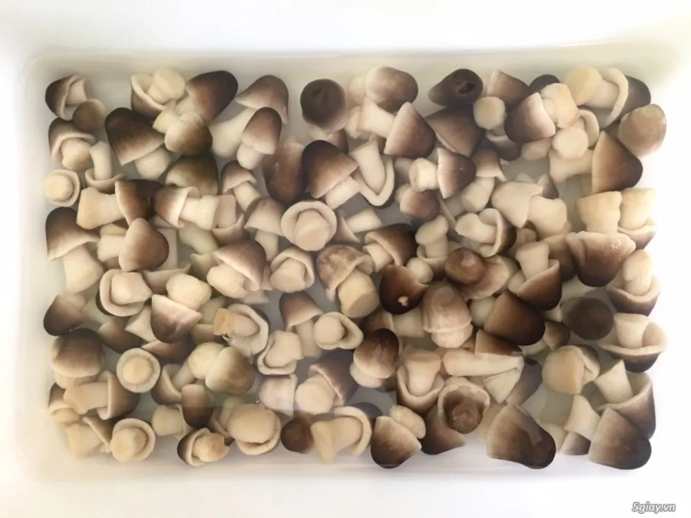 C400SL1A10 Sunlee Straw Mushroom (Small) Peeled 6×5 lb – Sunlee