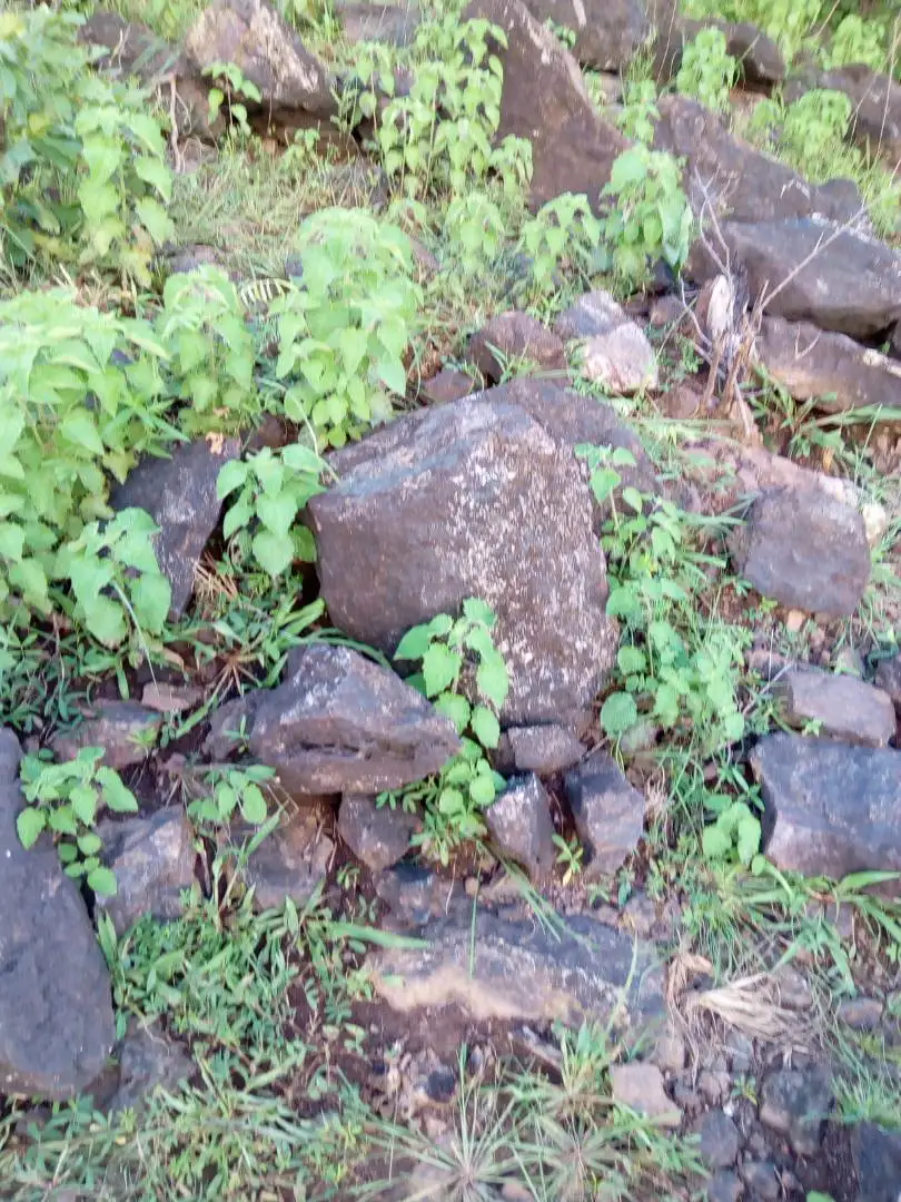 
high quality 15 - 35% raw cassiterite high grade copper ore for sale 