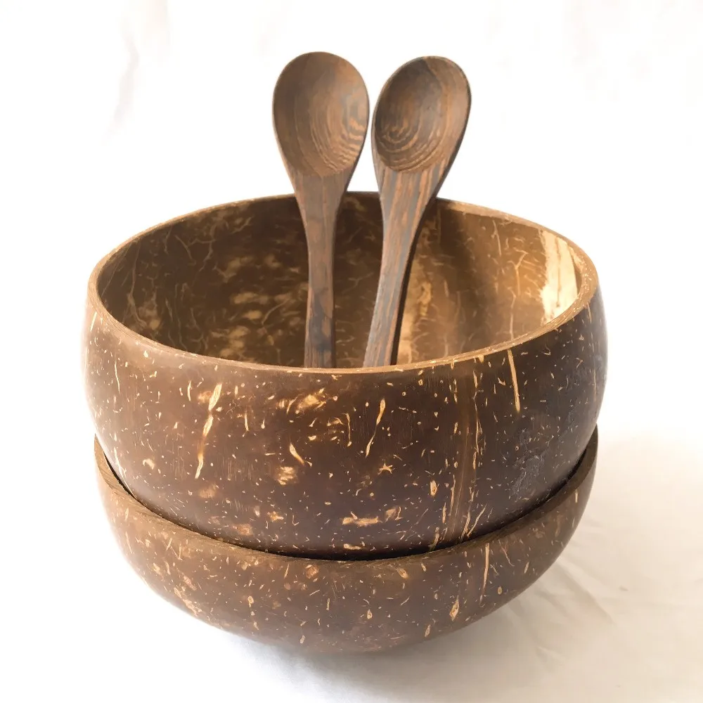 Hot Trend 2023 Ecofriendly Coconut Shell Bowl Paint Creative Glossy Handmade Wholesales From