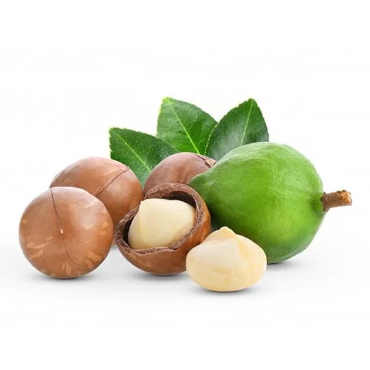 
Premium organic Common dried Macadamia from Daklands brand and made in Vietnam 