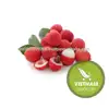 Vietnam Famous Fresh Lychees Good Price