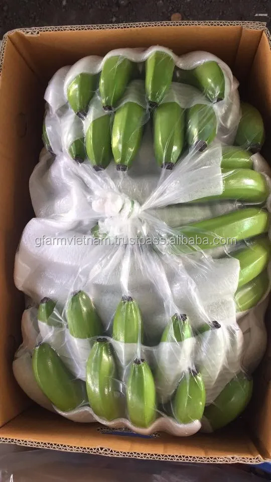 
CROP 2020 Fresh banana in carton 14kg export 