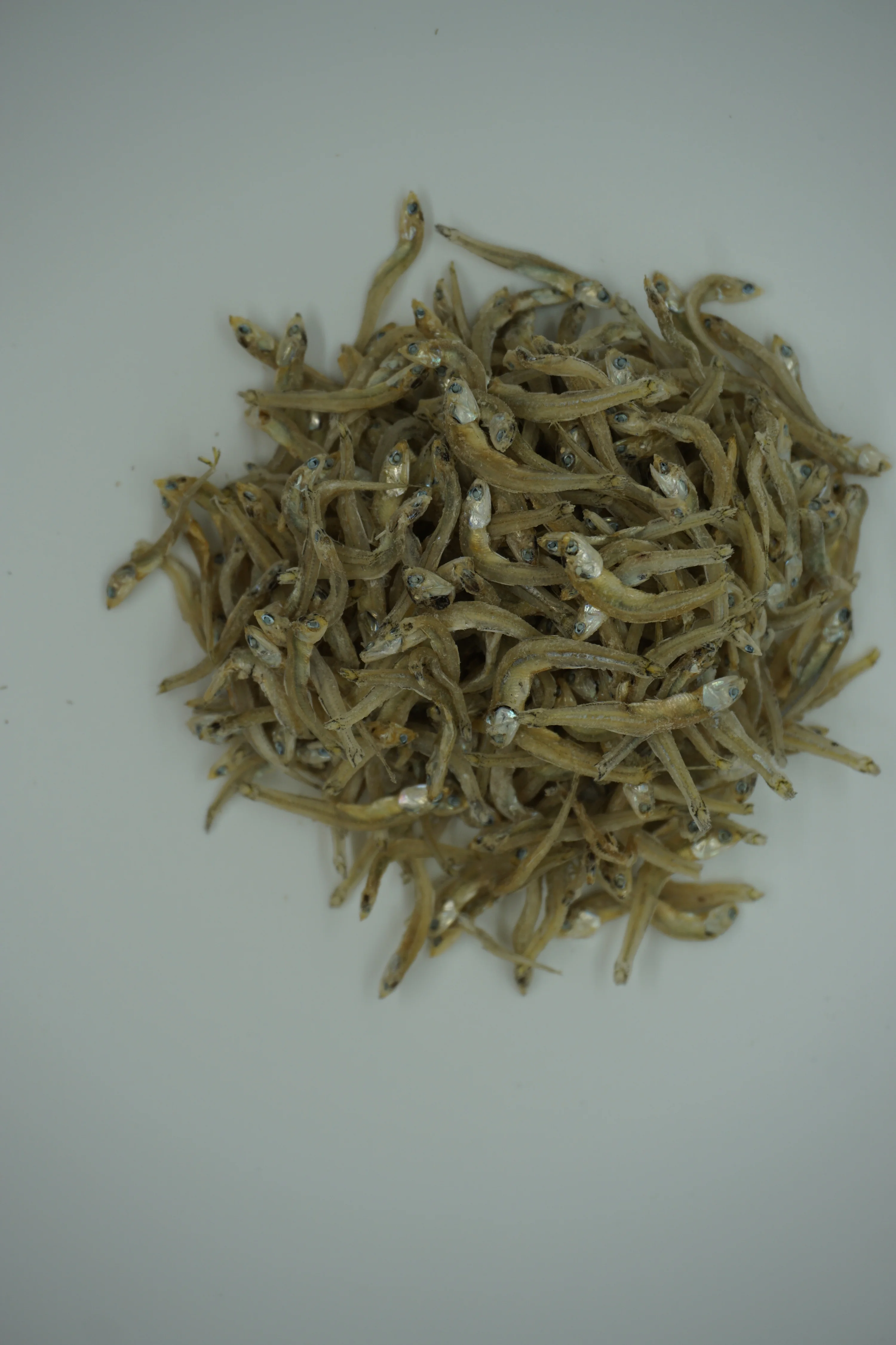 DSC00765.jpg