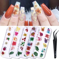 

Dried Flowers Nail Art Decoration DIY Preserved Flower Glass Bottle Decor Nail Tips Decoration