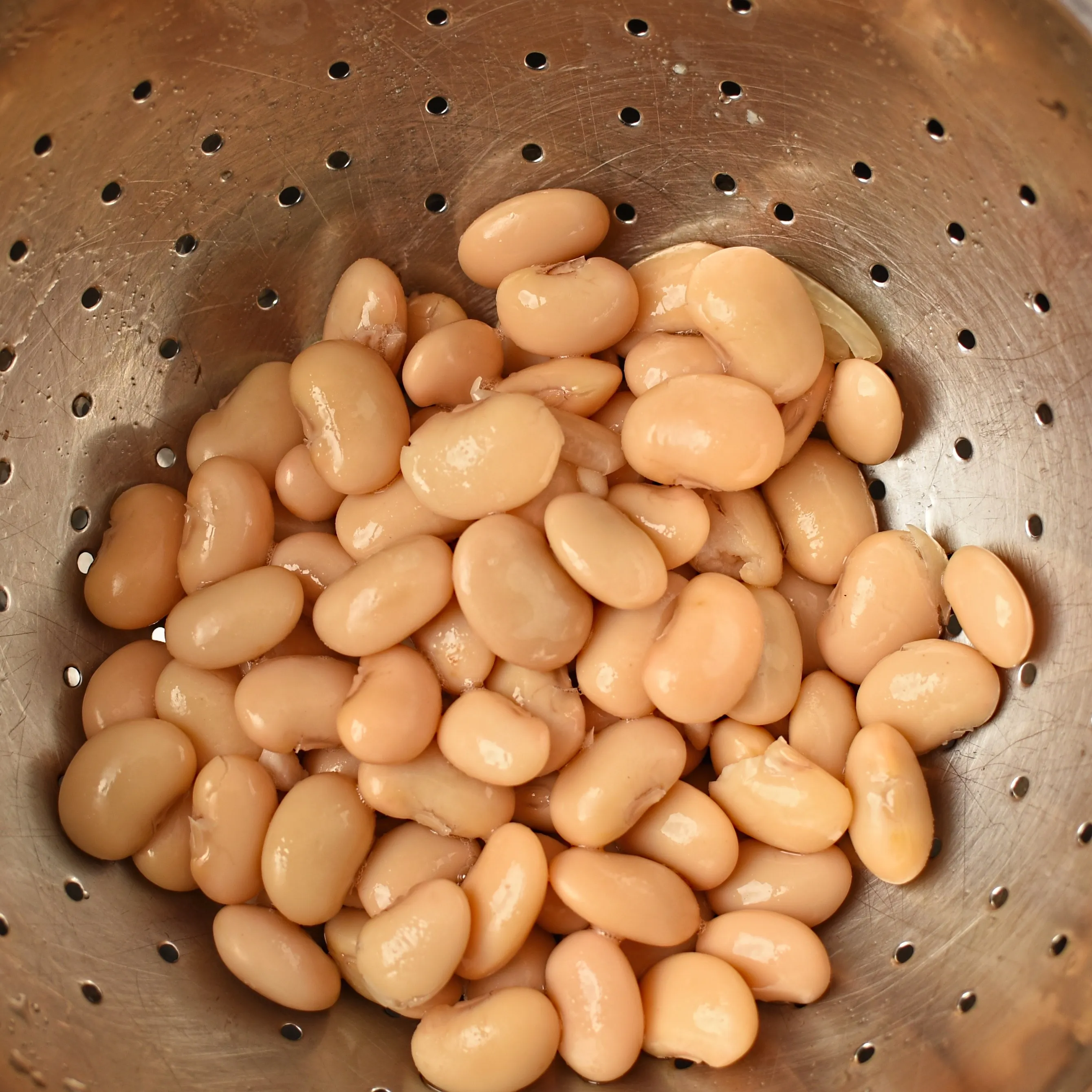 
high quality white butter beans for sale 
