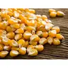 Yellow Corn & White Corn/Maize for Human & Animal Feed FOR SALE