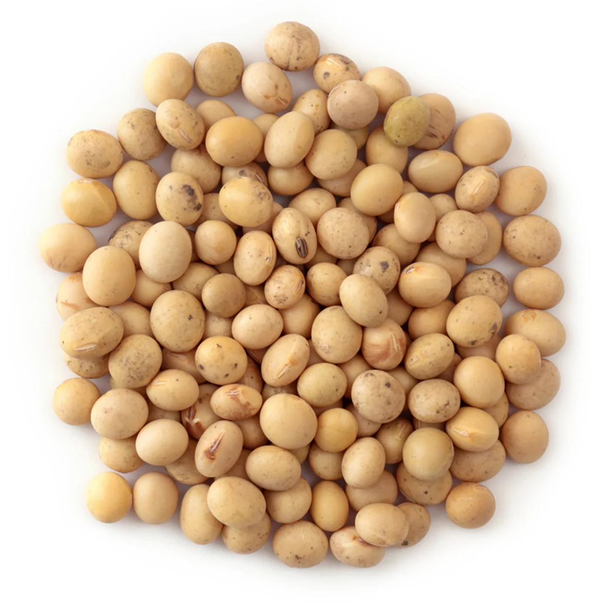 all industries  agriculture  beans  soybeans