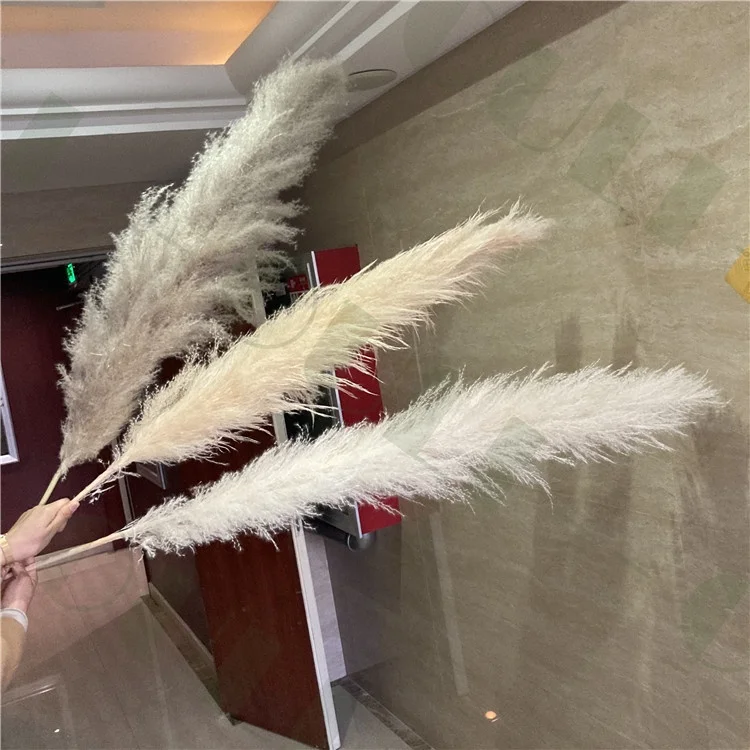 

I-6009 custom white tall dried pampas grass for wedding/party scene decoration