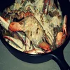Bangladesh live mud king frozen soft shell crab