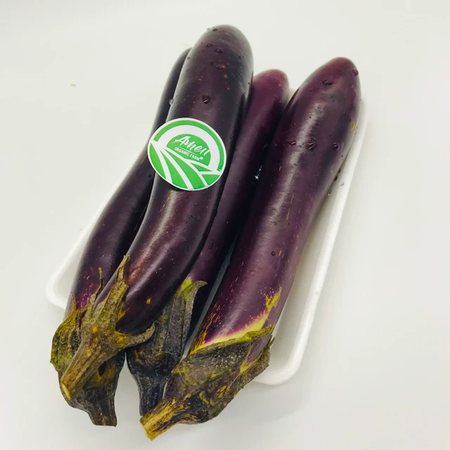
FRESH ORGANIC EGGPLANT VIET NAM 