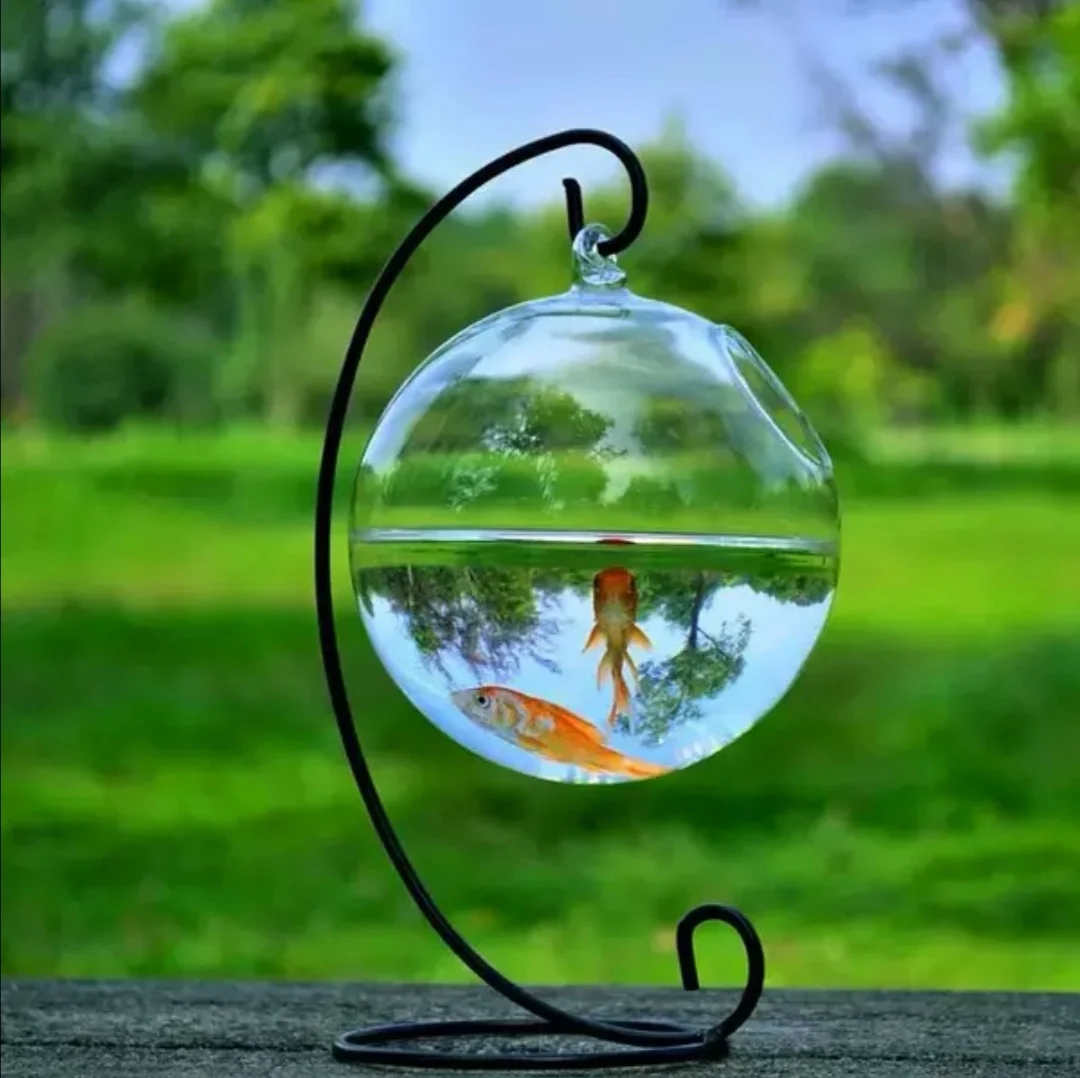 

Glass Hanging Fish Bowl Tank Beta Tank with Stand Fish Homes Creative Vase Aquarium for Home Garden Desk Betta Fish Moss