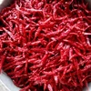 spices exporter in sri lanka