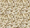 Raw Blanched Peanuts (Groundnut) Supplier