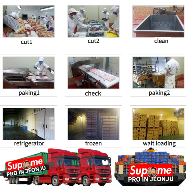 PIJ COMPANY PROFILE (1).png