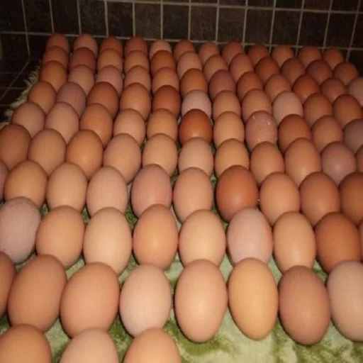 1 (2).jpg