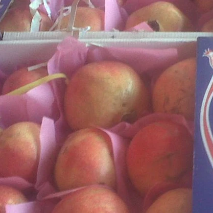 
Fresh Pomegranate ready to export to Algeria  (62009636173)
