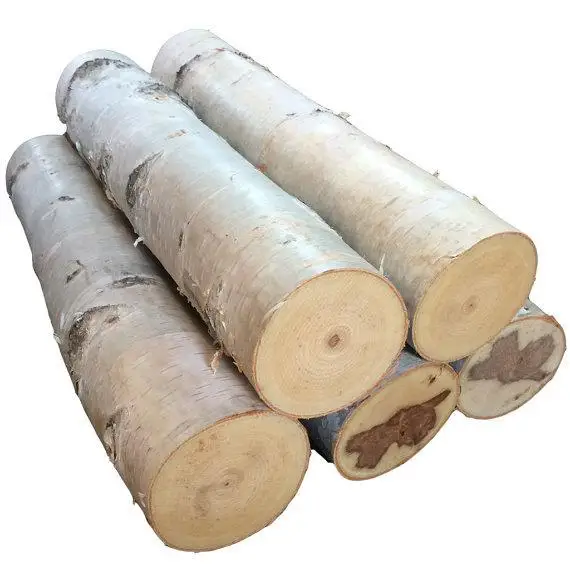 White Birch Logs.jpg
