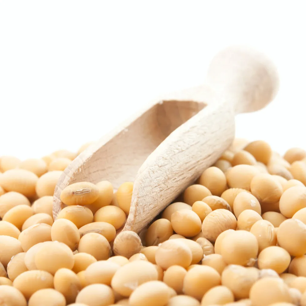
Wholesale organic soybeans, cheap prices 