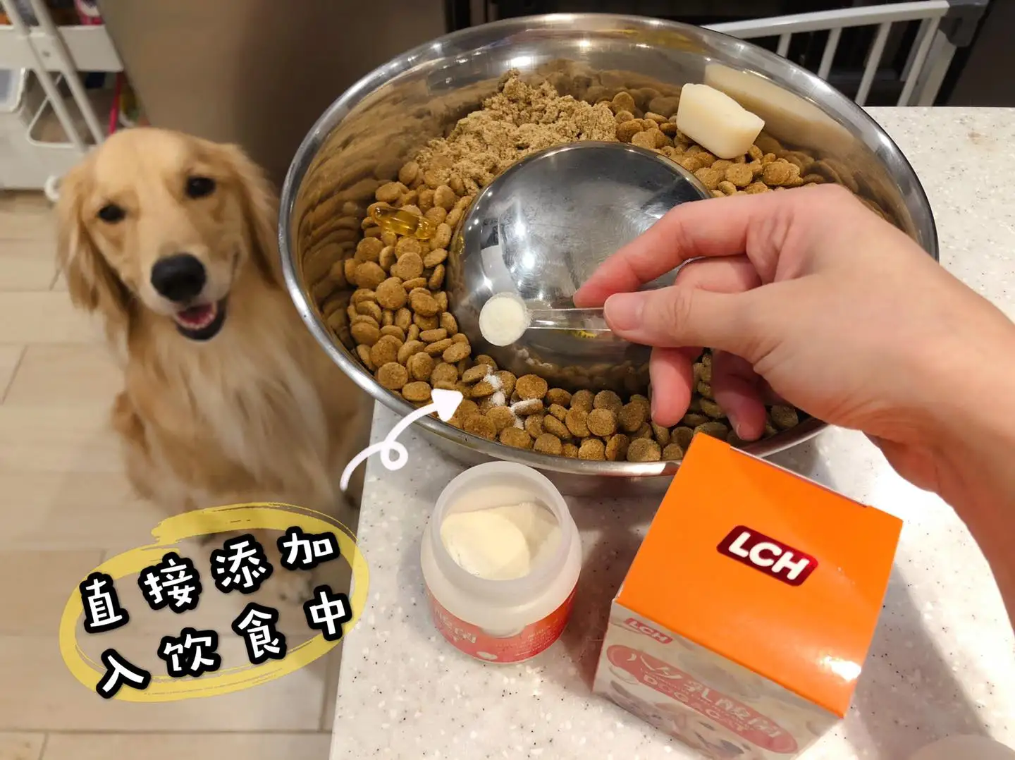 Pets Health Lactobacillus For Dog And Cat 30g/month Buy Lactobacillus