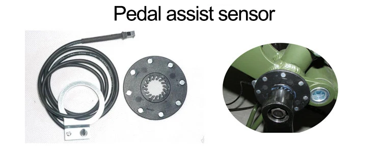 PAS.jpg
