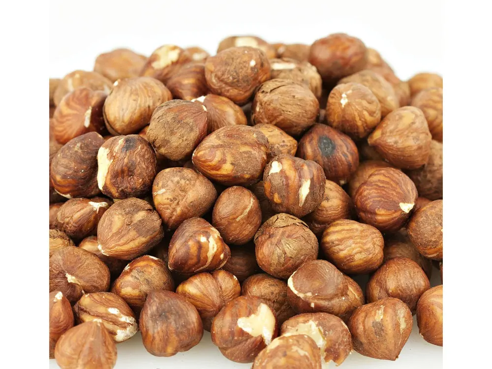 Hazel Nut15.jpg