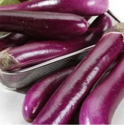 
Fresh EGGPLANT High Quality Lowest price from Viet Nam wholesale 