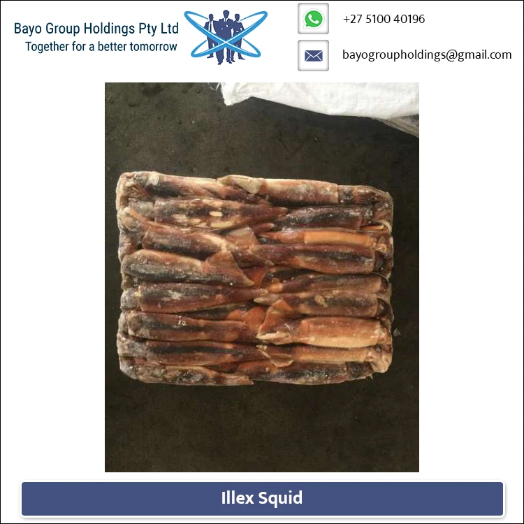 
Wholesale Supplier of Illex Squid Low Price 