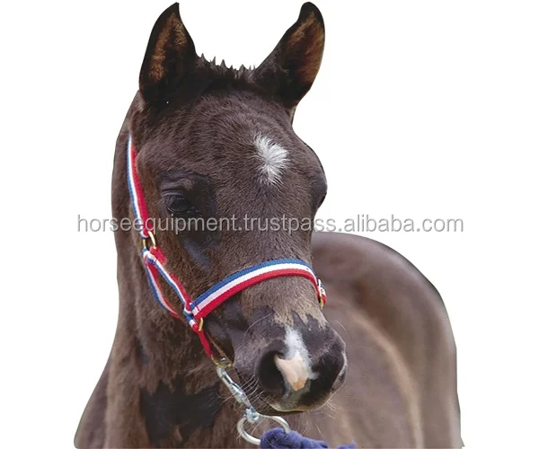Custom Durable Nylon Horse Training Halter Adjustable Brass Buckle Clip 