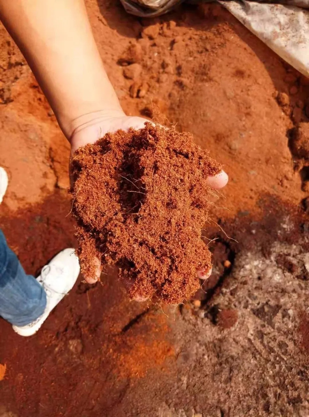 Organic Natural Coconut Fiber Grow Mat/ Biodegradable Coir Sheet For