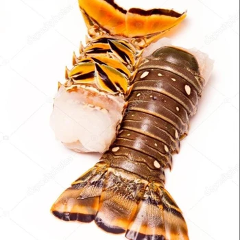 maine lobster tails in seafood lobster/fresh live lobster