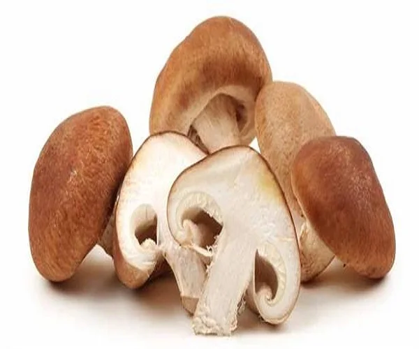 
Natural magic mushrooms dried with good quality 