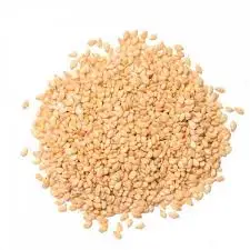
Golden Sesame Seeds Natural Sesame Seeds 99 % Purity 2020 