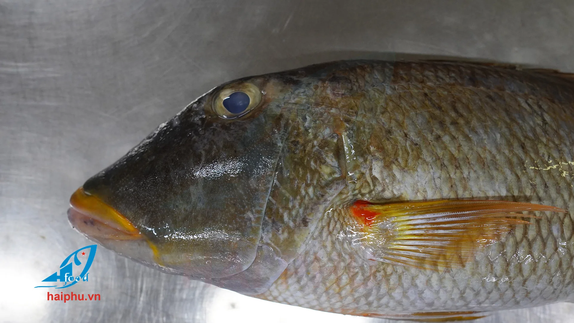 main best production called emperor frozen fish with hai phu