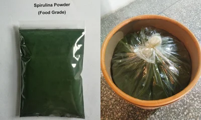 
Superfood spirulina powder/tablet for healthcare supplement 