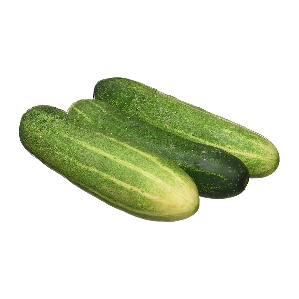 
Fresh Cucumber for Sale  (62022181424)