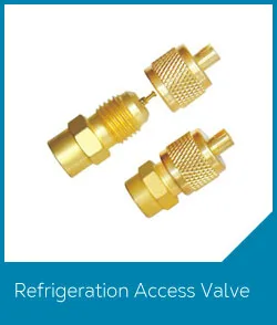 1/4 schraeder access valve with quarter copper tail. 