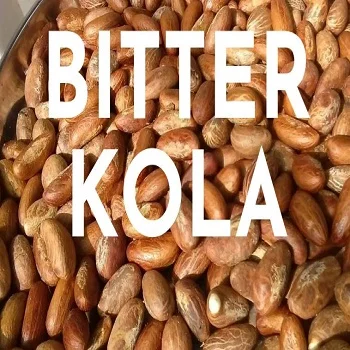 KOLA.jpg