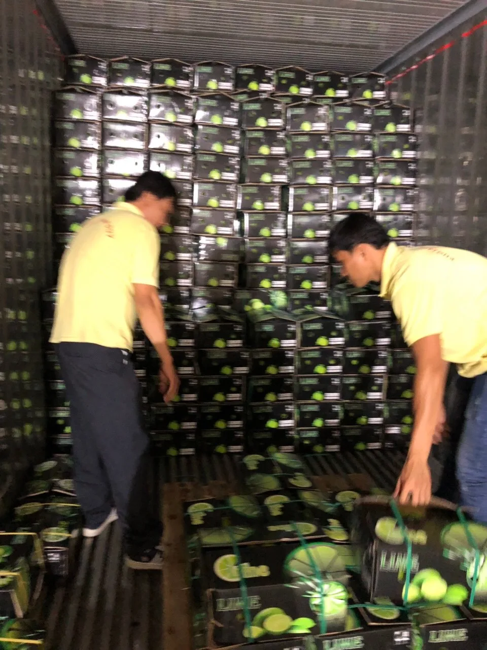 vietnamese lime (whatsapp +84972678053) 7