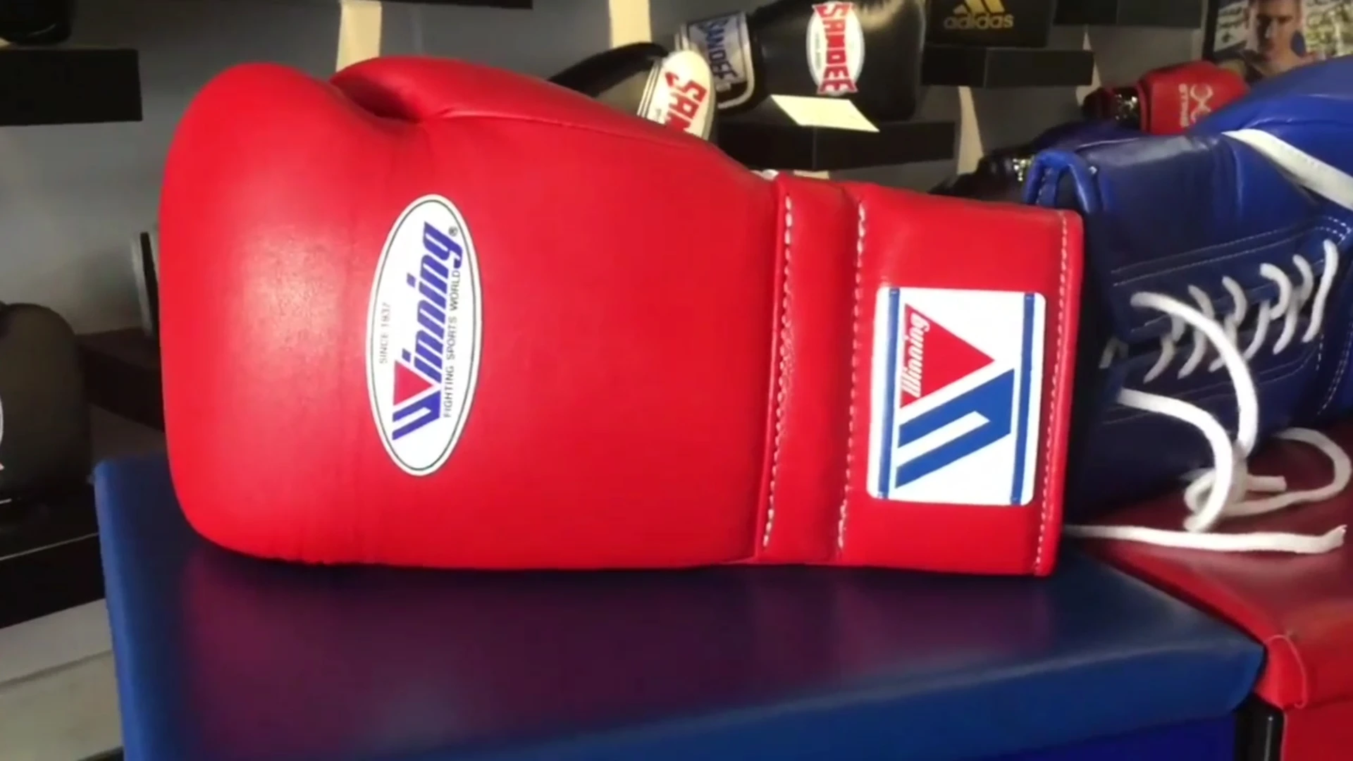 Custom Winning Boxing Gloves,Heavy Weight Professional Boxing Rhbg